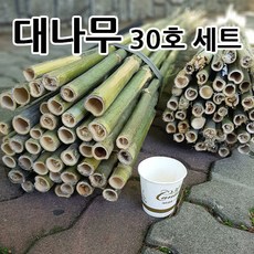 문발원목
