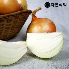 유기농양파10kg