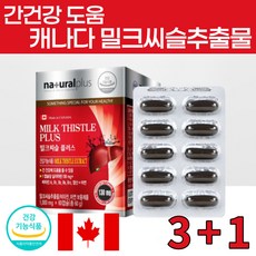캐나다 밀크씨슬 추출물 간건강 도움 밀크씨슬 플러스 1000mg 8개월분