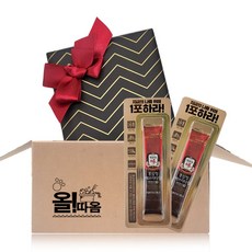 올따옴 정관장 홍삼정 에브리타임 밸런스 핏 14T 리본포장 선물세트, 140ml, 1개