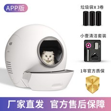 라비봇2렌탈