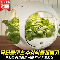 닥터플랜츠