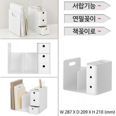 카리스2단교구장