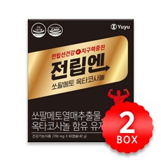 유유제약 전립엔 쏘팔메토 옥타코사놀 700mg x 60캡슐 x 2박스