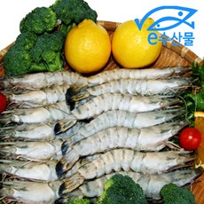 홍다리얼룩새우