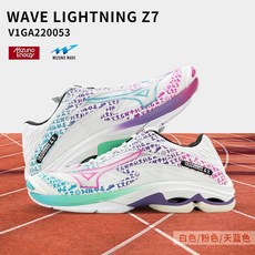 v1ga220053 TOP01