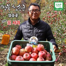 경북 청송 GAP 인증 얼음골 꿀 부사 사과 5kg 10kg 문경 감홍 홍옥 풍기 시나노스위트 엔비 아리수 영주 사과, 명품 부사10KG 흠과(무게로측정), 1개