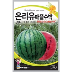 온리유 애플 수박 씨앗 apple watermelon seed 10알
