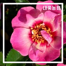 8a4cb4951a8c01162b3873c98eeaa57f01fe9fb3b091b7e50b96b4010461.jpg