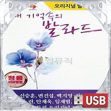 USB 국내앨범 원곡 오리지날 기억속의 감성 발라드 이승철 김태우 백지영 신승훈 박효신 임재범 다비치 린 변진섭 김범수 이문세 옛사랑 고해 잊었니 보이지 - 김범수lp