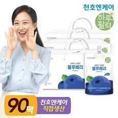 인씨네블루베리즙
