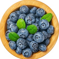 산지직송 100% 국내산 무농약 생블루베리, 1박스, 500g (중)