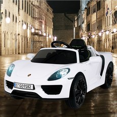 파파야나인포르쉐918스파이더배터리교체