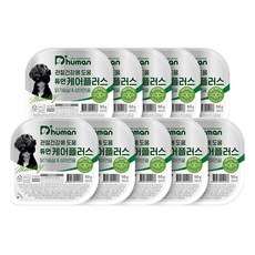 듀먼 케어플러스 관절 건강 닭&상어연골, 10팩, 50g, 닭