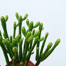 9f44a8f1514e16be20ef399688f8102000b89c03ea02833d677786f063fc.jpg