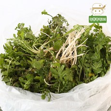 f42cd4caf573093c3fc4612581c4dc11a9a40c8548b8c1c91d9057150e1b.jpg