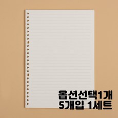 3공모눈속지