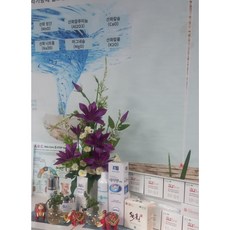  에이앤(AN)화장품 7종 세트 .얼굴의 광택이 나는것을 느끼실겁니당.+서비스^^, 50g, 1세트 