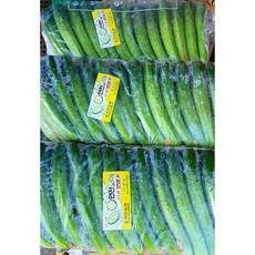 오이지다짜고짜