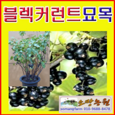 83c768f2480e1bbeeecb1da33b8b723aaa7a4c743f59a4932ed17975dad1.png