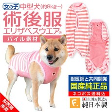 1f91a9f814554e47b173075df27715f50efdd407a3e99a66f8f4f355561e.jpg