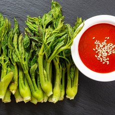 자연산 참두릅 땅두릅, 5개, 120g