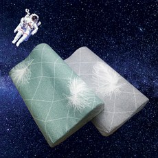 에코폼도그자리