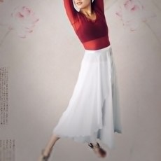 댄스복 Women Ballet Dance Skirt Leotard Classical Dress Chiffon Tu [S00148652], 06-White-148652