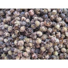 SC1 국산 복분자 300g, 1개