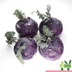 사라상회 콜라비 10Kg (특), 1박스