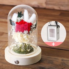 프리저브드 카네이션 유리돔 프리저브드 꽃선물 LED 무드등 어버이날 선물