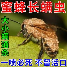 벌통만들기