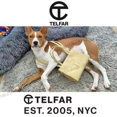 텔파미디움