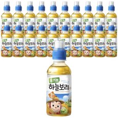코코몽하늘보리