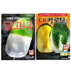 누에고치실뽑기