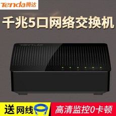 랜선분기