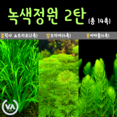 블러드레드수초