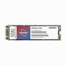 타무즈 GKM330 M.2 2280 256GB SSD 정품 판매점 3D TLC 캐싱