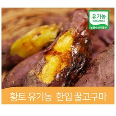 무안황토고구마