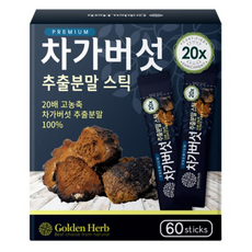 골든허브 프리미엄 차가버섯 추출분말 스틱, 60g, 2개