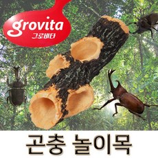 Grovita 곤충 놀이목/먹이급식대/애완곤충/장수/사슴, 1개