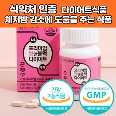 강아지굶지않고다이어트하는법
