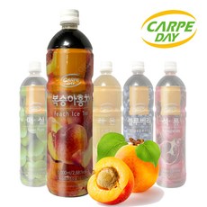 까르페토스터기