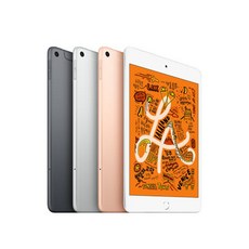 애플 아이패드 미니 5세대 iPad Mini 5 와이파이 Wifi 셀룰러 64GB 256GB