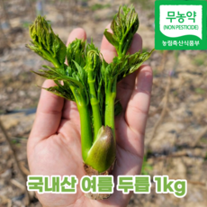 유기농두릅