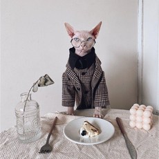 고양이 옷 스핑크스 데본 가을 겨울 새로운 영국 정장 셔츠 커플 트렌드, S, 카멜 플레이드 블레이저