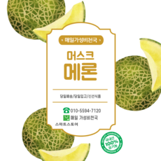 달콤 머스크 멜론4수, 1개
