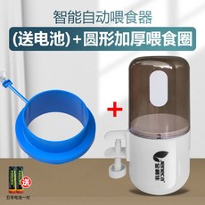 키우기쉬운물고기