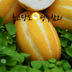 성주참외 당도보장 고당도 못난이 가정용...
