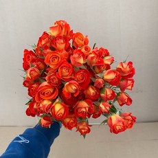 982a12957d426537d27249152efd2a9b153ab43c7f49024c8b8ba7cc8a2d.jpg